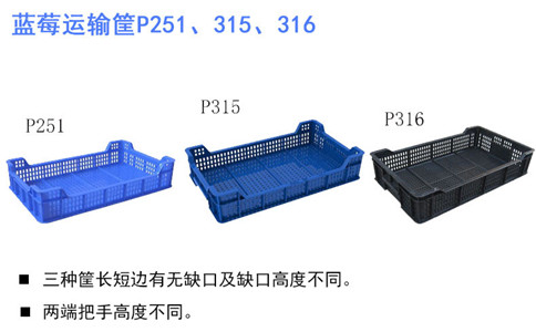 營口塑料筐型號,藍莓筐新款-沈陽興隆瑞