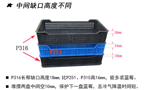 沈陽水果塑料筐重量,好用周轉筐-沈陽興隆瑞